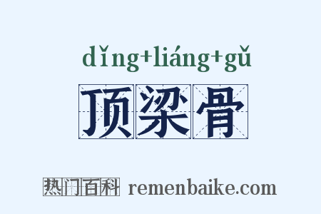 顶梁骨是什么意思的图片